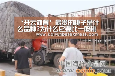 ‘开云体育’最贵的桃子是什么品种?为什么它要比一般桃子贵?(图2) 开云官网